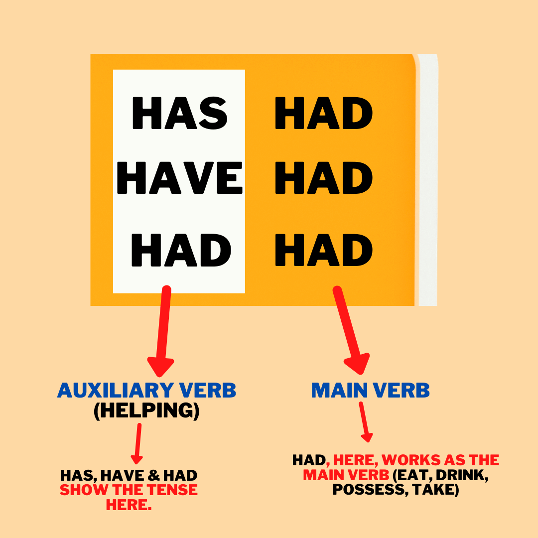 HAS HAD HAVE HAD and HAD HAD in English: usages examples and HAS HAD HAVE HAD and HAD HAD in English: usages examples and