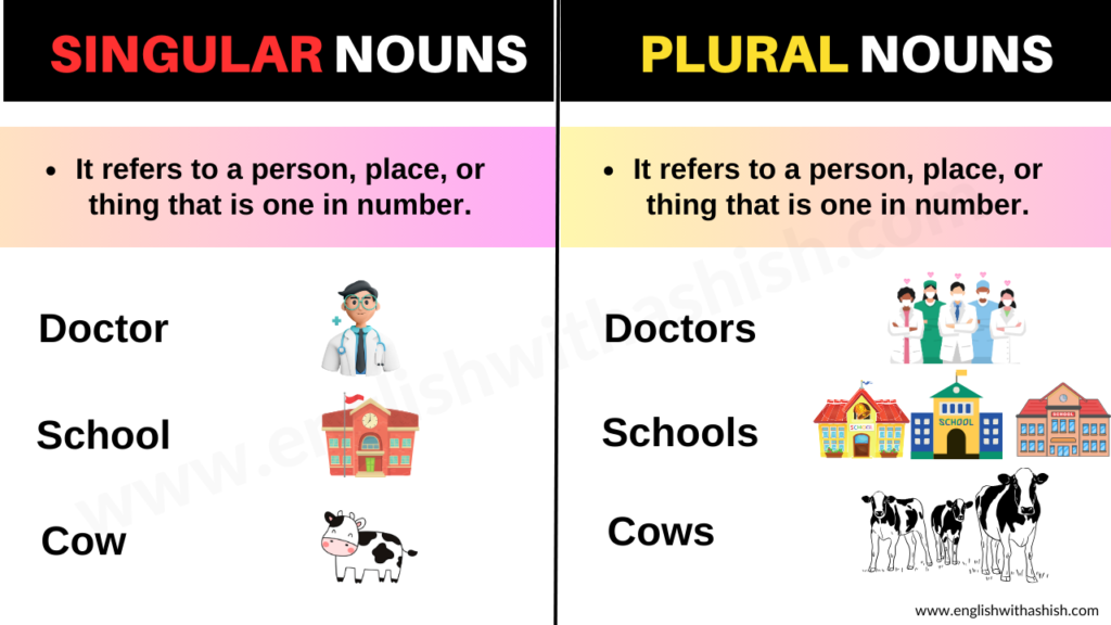 Plural and Singular Nouns: Comprehensive Expression